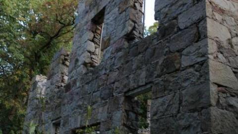 Passing Tress On Public Paths - IMG_9842.jpg