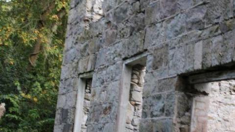 Photo from Passing Tress On Public Paths