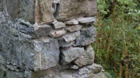 Photo from Passing Tress On Public Paths