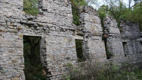 Passing Tress On Public Paths - IMG_9845.jpg