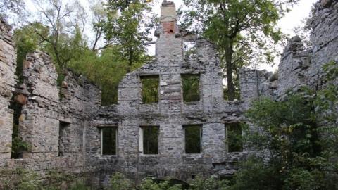 Passing Tress On Public Paths - IMG_9846.jpg