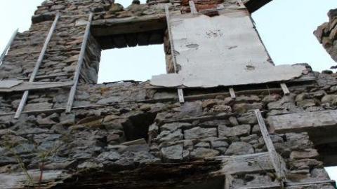 Passing Tress On Public Paths - IMG_9849.jpg