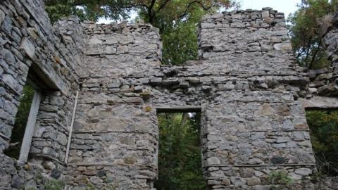 Passing Tress On Public Paths - IMG_9851.jpg