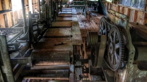 Photo from Haliburton Saw Mill (2020)