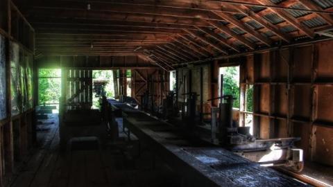 Haliburton Saw Mill (2020) - 20200616045206_IMG_2834-01.jpeg