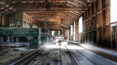 Haliburton Saw Mill (2020) - 20200616045345_IMG_2843-01.jpeg