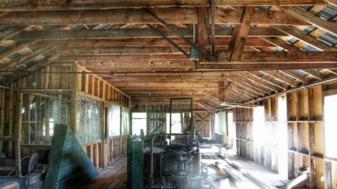 Haliburton Saw Mill (2020) - 20200616045421_IMG_2845-01.jpeg