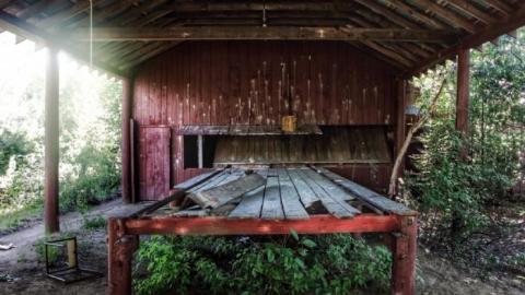 Haliburton Saw Mill (2020) - 20200616044948_IMG_2823-01.jpeg