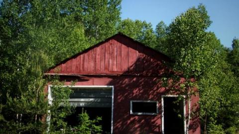 Haliburton Saw Mill (2020) - 20200616044409_IMG_2801-01.jpeg