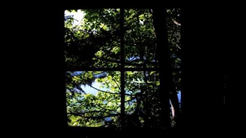 Haliburton Saw Mill (2020) - 20200616045318_IMG_2841-01.jpeg