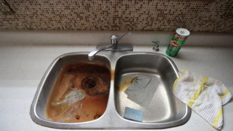 September '19 - LRvCdKzomoY6xz6RmqFUhcfV6oXnPKsviKjlC6GfMXca7320IMG_5729.jpg