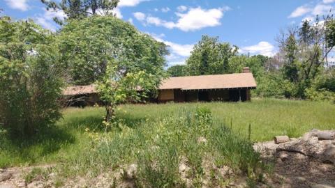 Houses on Islington - s48C4L8HEt1eSa7320IMG_20200614_132410.jpg