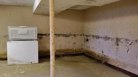 Liquid Courage '19 - 0WzeNIMo7320DSC06093.jpg