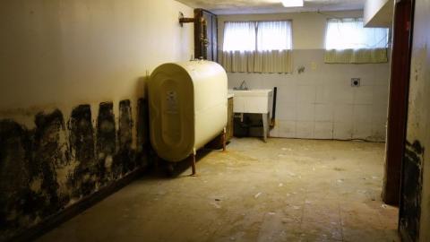 Liquid Courage '19 - 0WzeNINxx9rCMo7320DSC06096.jpg