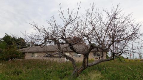 Liquid Courage '19 - UMEK9120PMo7320DSC06145.jpg