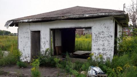 Liquid Courage '19 - UMEK9120PJglMo7320DSC06146.jpg