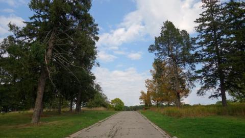 1930's Patient Built Gates '19 - 4XhSUgxJKrFt59UMo7620DSC07310.jpg