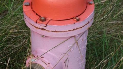 Photo from 1930's Patient Built Gates '19