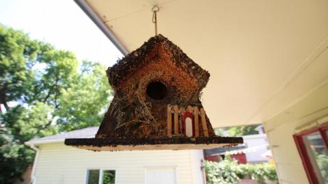 One And Only - jDSsDEis7720IMG_1609.jpg