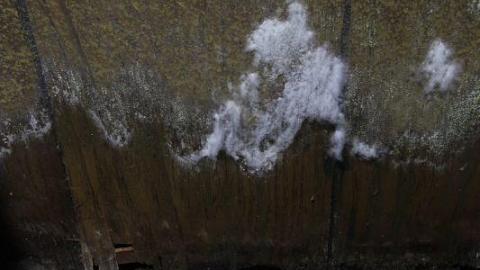 One And Only - 6FOWkbRqEm8qWUjmDgAoZis7720IMG_1649.jpg