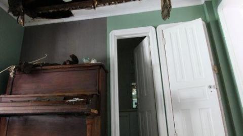 One And Only - OJV8eciITis7720IMG_1657.jpg