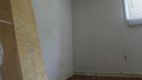 One And Only - OJV8eciITsbfis7720IMG_1659.jpg