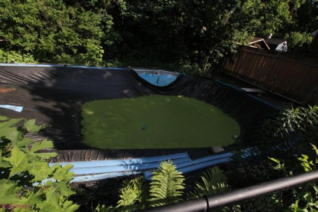 GONE TODAY - Waterloo, Ontario