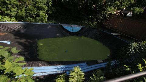 GONE TODAY - Waterloo, Ontario