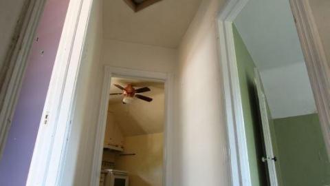 One And Only - cW7is7720IMG_1666.jpg