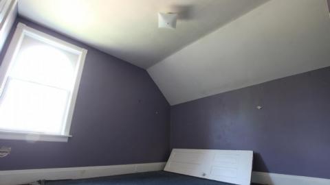 One And Only - cW7ICris7720IMG_1667.jpg