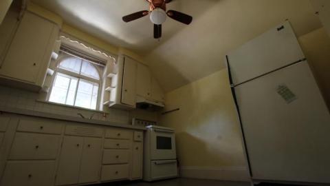 One And Only - cW7ICr8ghCvUis7720IMG_1669.jpg