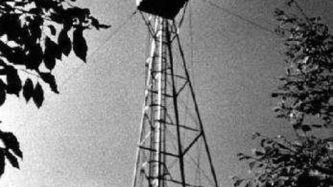 Extra Oxtongue Soup - Oxtongue-Forest-Ranger-Cabin14.jpg