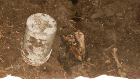 Death Farm - Colgan-Death-Farm2.jpg