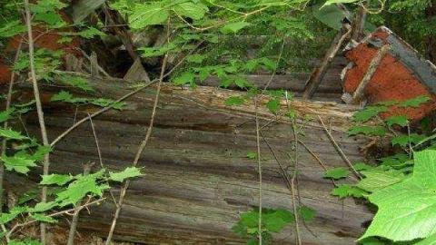 Photo from Extra Oxtongue Soup