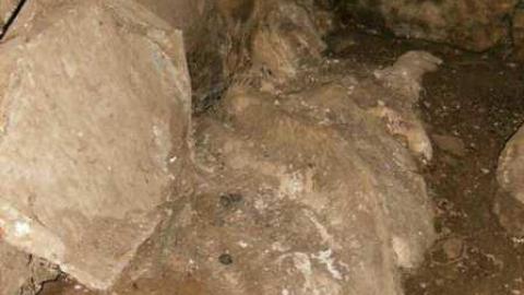 Death Farm - Colgan-Death-Farm15.jpg