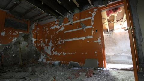 Concrete JUNGLE - Ary3G0oiANfMis7920IMG_1254.jpg