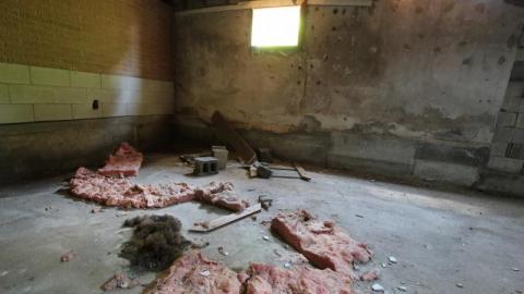 Concrete JUNGLE - Ary3G0oiANfMFgGis7920IMG_1255.jpg