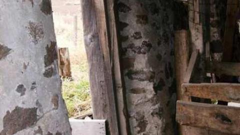 Death Farm - Colgan-Death-Farm6.jpg