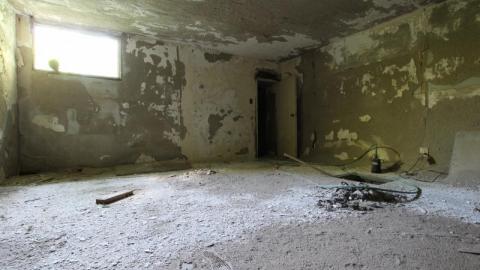 Concrete JUNGLE - Ary3G0oiANfMFgG4TsnCxis7920IMG_1257.jpg