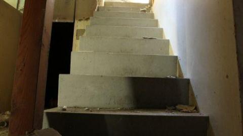 Concrete JUNGLE - HjmqtUkLqua3Ppi9tf3RcOAlis7920IMG_1259.jpg