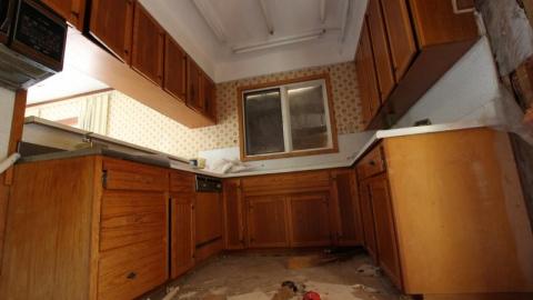 Concrete JUNGLE - HjmqtUkLqua3Ppi9tf3RcOAltekis7920IMG_1260.jpg