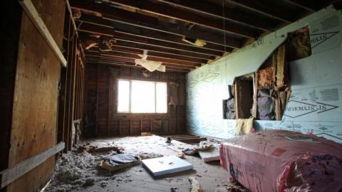 Concrete JUNGLE - HjmqtUkLqua3Ppi9tf3RcOAltekdjih4uphBis7920IMG_1265.jpg