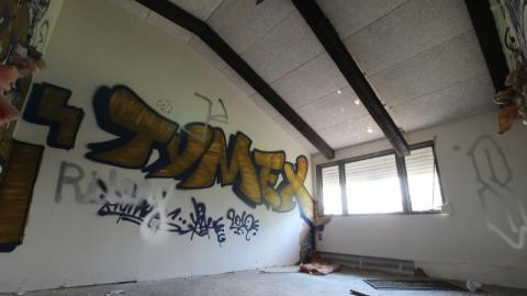 Concrete JUNGLE - UsDis7920IMG_1272.jpg