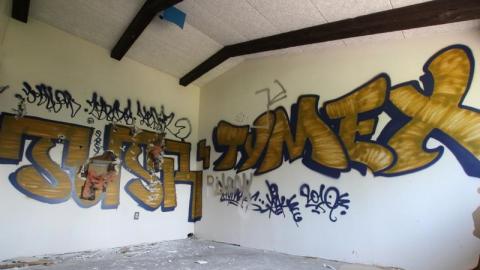 Concrete JUNGLE - UsD7aIis7920IMG_1273.jpg