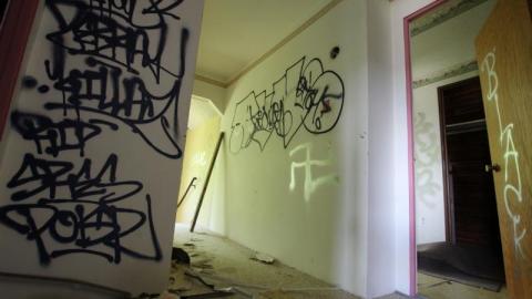 Concrete JUNGLE - UsD7aIbnYis7920IMG_1274.jpg