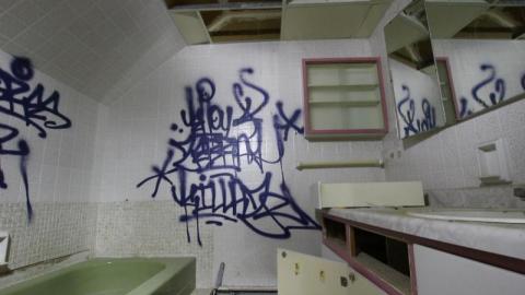 Concrete JUNGLE - UsD7aIbnYVoMis7920IMG_1275.jpg