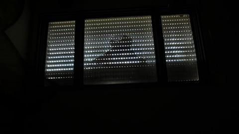 Concrete JUNGLE - UsD7aIbnYVoMCpiis7920IMG_1276.jpg