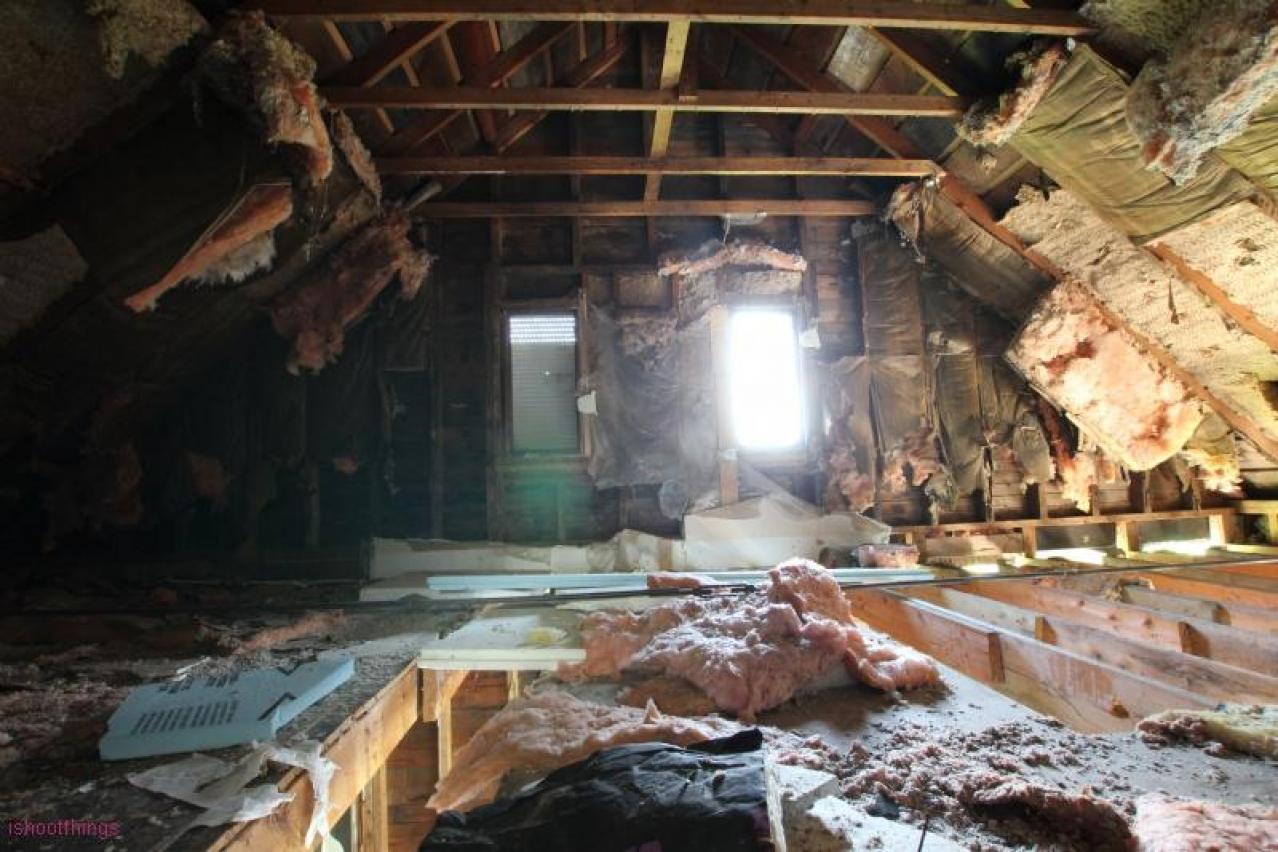 Concrete JUNGLE - UsD7aIbnYVoMCpinMfhBzis7920IMG_1278.jpg