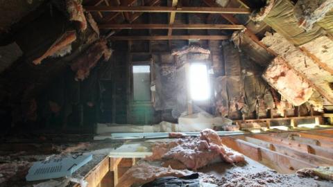 Concrete JUNGLE - UsD7aIbnYVoMCpinMfhBzis7920IMG_1278.jpg