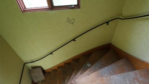 Concrete JUNGLE - UsD7aIbnYVoMCpinMfhBzfMmKsyZYriOTis7920IMG_1284.jpg